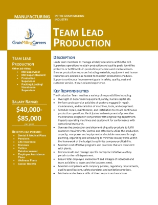 teamleadproduction